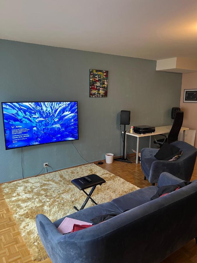 Beautiful Large Studio In Center Of Geneva Free Wifi Apartman Kültér fotó