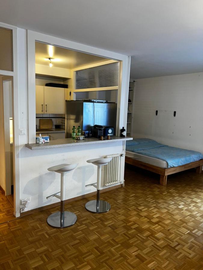 Beautiful Large Studio In Center Of Geneva Free Wifi Apartman Kültér fotó